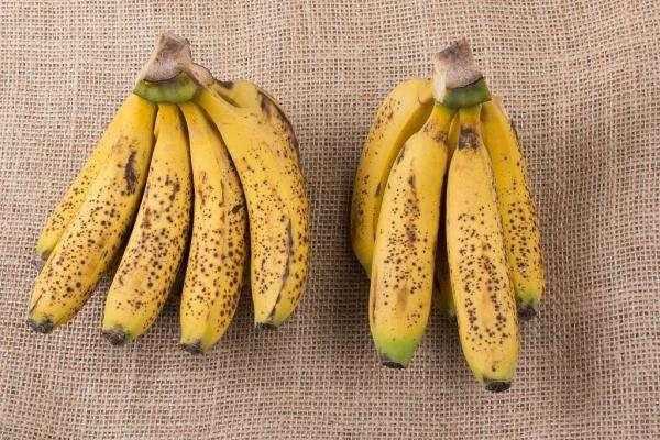 尿酸高吃香蕉有用吗（尿酸偏高吃香蕉行吗）