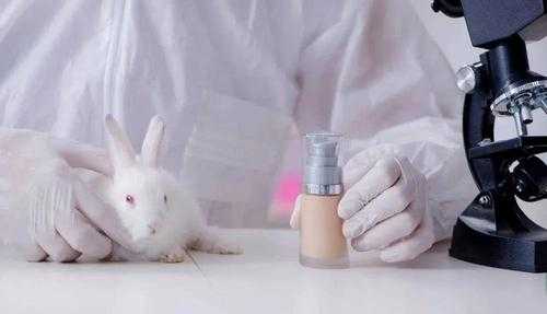 没有用动物实验化妆品（没有用动物实验化妆品的原因）